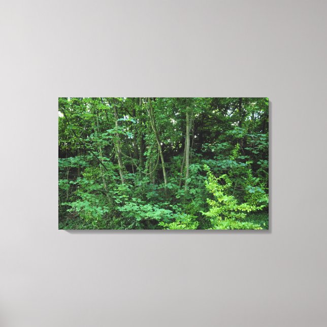 Toile Arbres et arbustes (Recto)