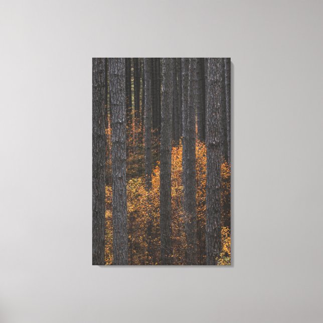 Toile Arbres et doré feuillage d'automne (Recto)