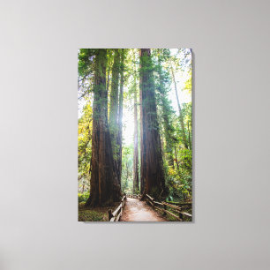 Toile Arbres grands