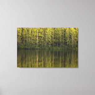 Toile Arbres reflétés dans l'eau