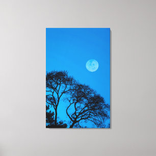 Toile Arbres silhouettes et pleine lune