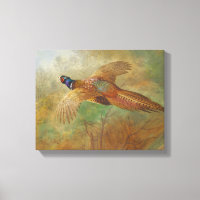 Archibald Thorburn Flying faisan Oiseaux peintures
