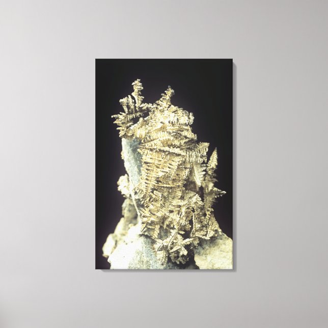 Toile Argent natif (Ag) sur calcaire, Canada (Recto)