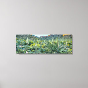 Toile Arizona Désert Randonnée Saguaro Cactus Forêt 36x1