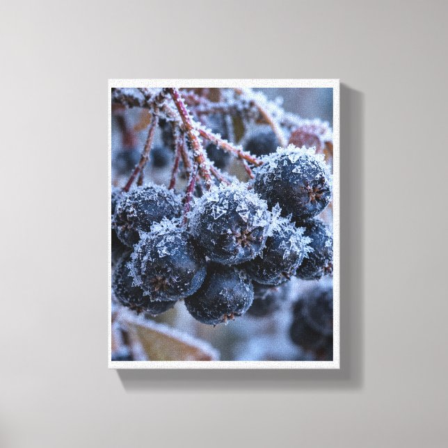 Toile Aronia gel macro (Recto)