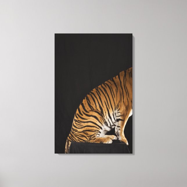 Toile Arrière du tigre assis sur la plateforme (Recto)