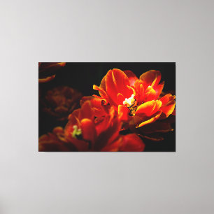 Toile Arrière - plan rouge tulipes foncé