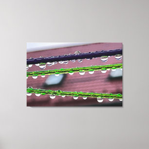 Toile Arrosage sur cordes