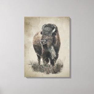 Toile Art animalier bison buffle à l'aquarelle de style