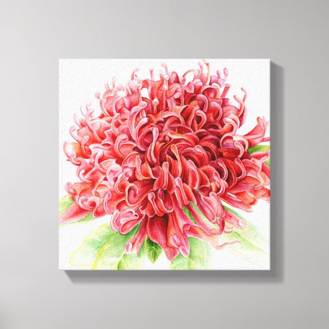 Toile art botanique fleur rouge de Waratah (Recto)