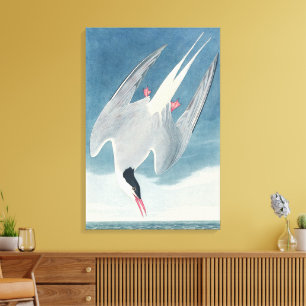 Toile Art côtier vintage de la sterne arctique d'Audubon