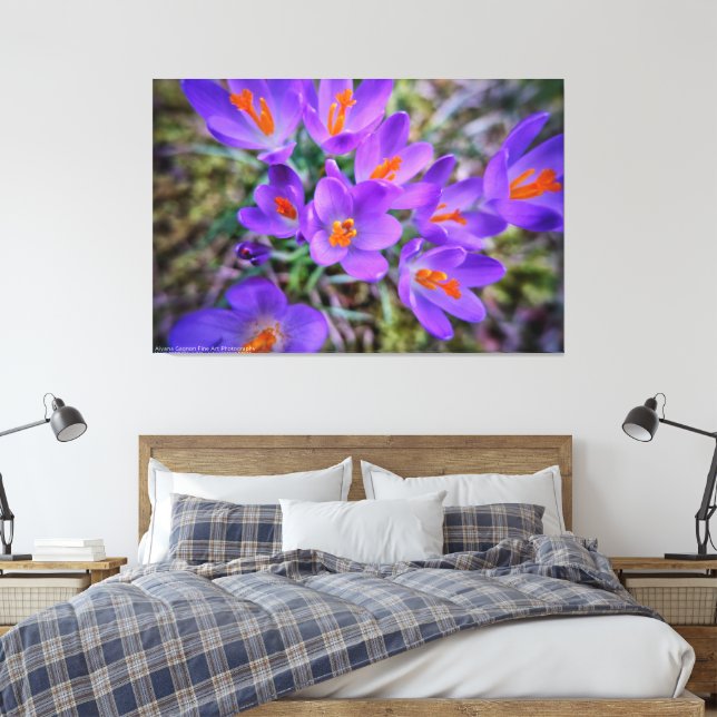 Toile Art Crocus (Insitu(Chambre))