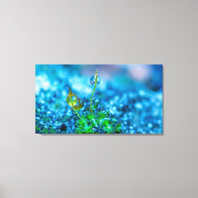 Toile Art - Herbe avec gouttes d'eau (Recto)
