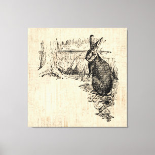 Toile Art lapin vintage illustré