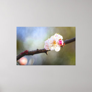 Toile Art minimaliste de la fleur de prunier japonais en