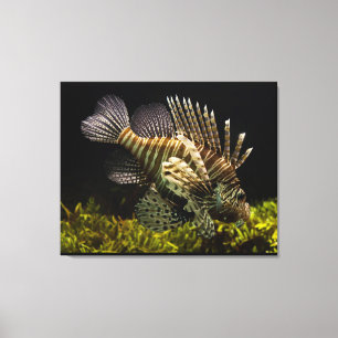 Toile Art mur