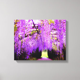 Toile Art pourpre de mur de glycines