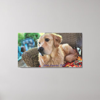 Toile Arthur, September 2025