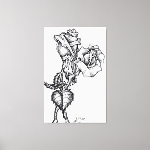 Toile ASA CREATON Virginie-Occidentale