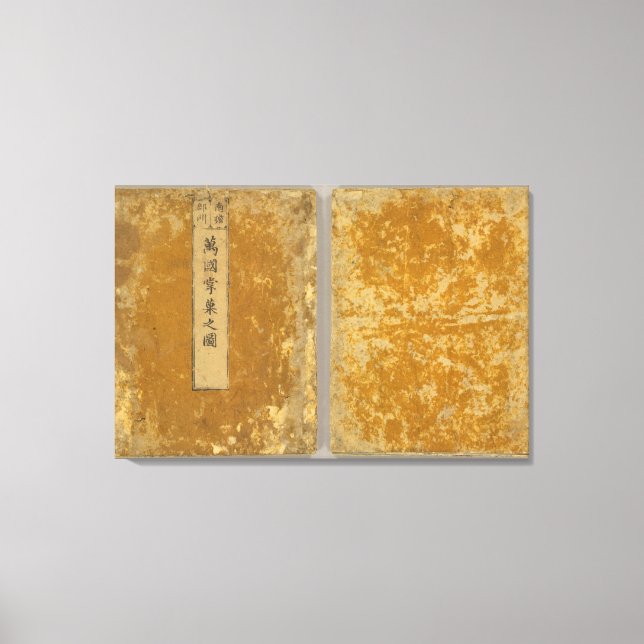 Toile Asie 46 (Recto)