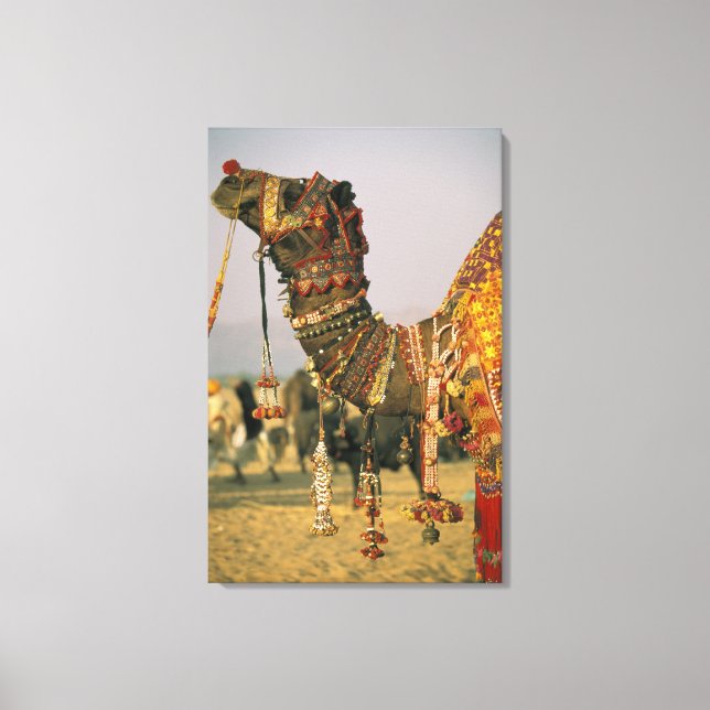 Toile Asie, Inde, Pushkar. Chameau Shamu , Pushkar (Recto)