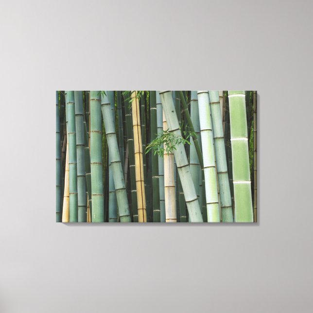 Toile Asie, Japon, Kyoto, Arashiyama, Sagano, Bamboo (Recto)