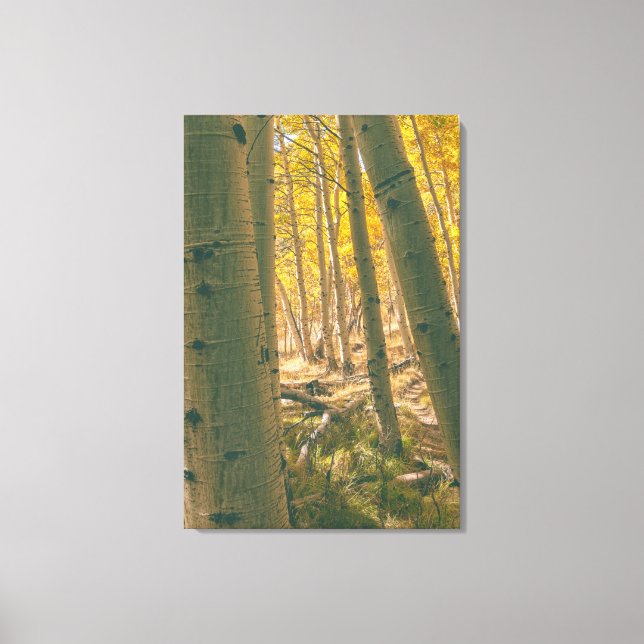 Toile Aspect automnal (Recto)