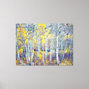 Toile Aspen Grove