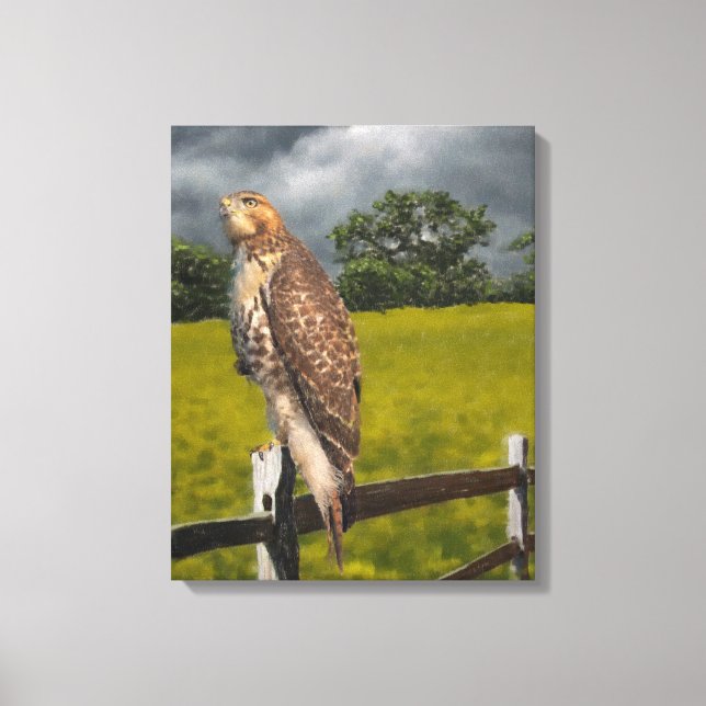 Toile Attente de la tempête - Red tail Hawk (Recto)