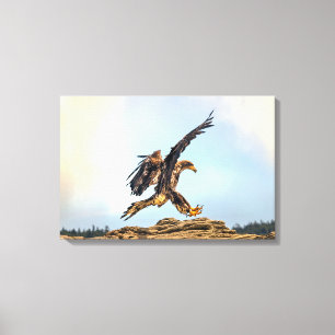 Toile Atterrissage de l'aigle à tête blanche au Canada