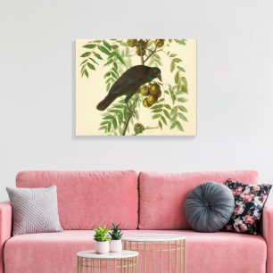 Toile Audubon American Crow Black Bird