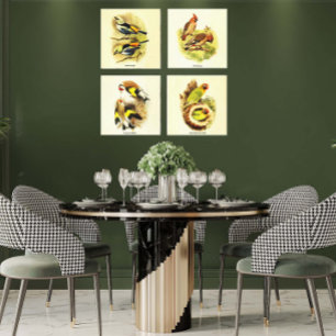 Toile Audubon Bird Gallery Wall Art Set 4