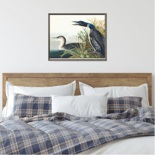 Toile Audubon Bird Loon Diver Classic