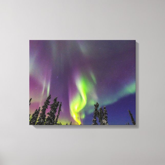 Toile Aurora Borealis | Fairbanks, Alaska (Recto)
