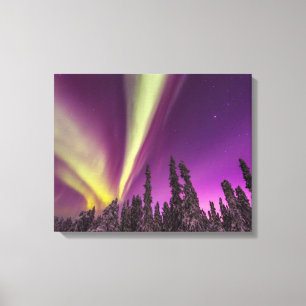 Toile Aurora Borealis Northern Lights Fairbanks Alaska
