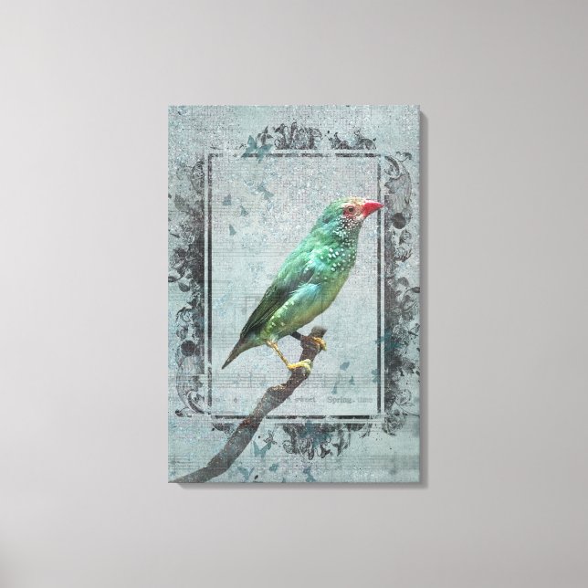 Toile Australian Star Finch sur la musique (Recto)