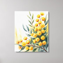 Australie — Aquarelle Golden Wattle