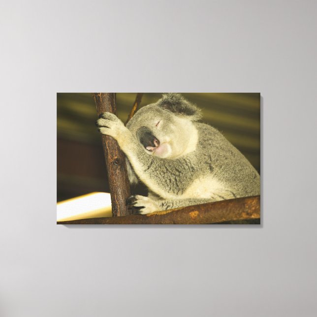 Toile Australie, Queensland, Brisbane. Arborescence des  (Recto)