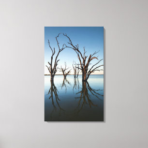 Toile Australie, vallée du Murray, Barmera, lac