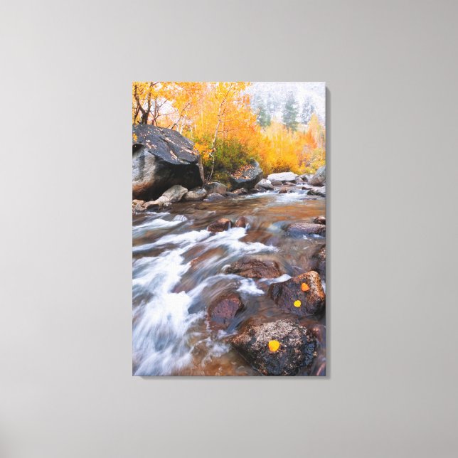 Toile Automne le long de Bishop Creek, CA (Recto)