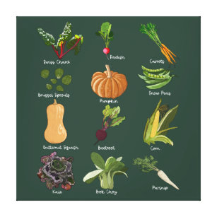 Toile Automne Légumes amusants Types de légumes d'automn