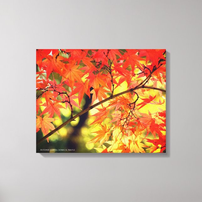Toile Autumn Leaves [Canvas Print] (Recto)
