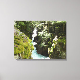 Toile Avalanche Gorge II dans le parc national de Glacie