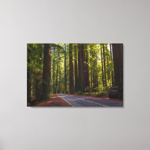 Toile Avenue de séquoia géant la Californie