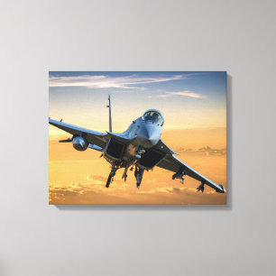 Toile Avion de combat