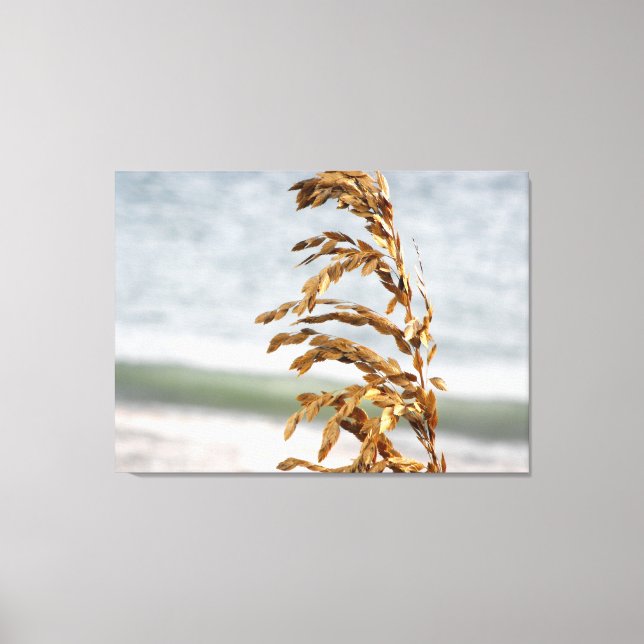 Toile Avoine de mer, Brise marine (Recto)