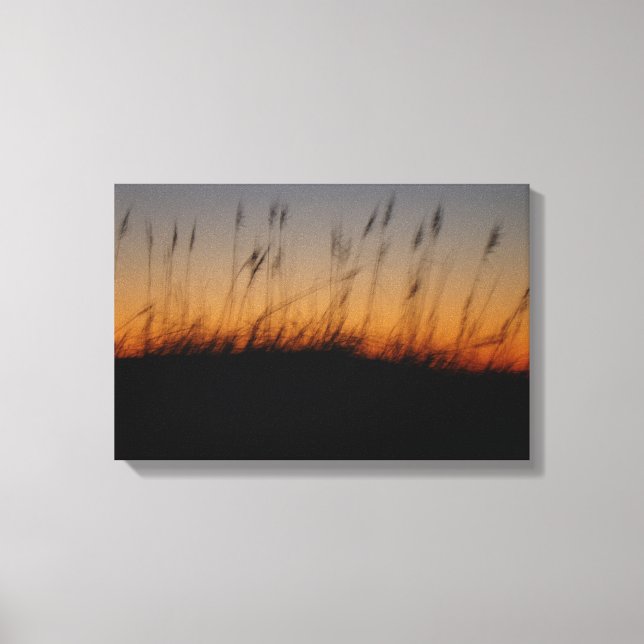 Toile Avoines de mer et dunes au coucher du soleil (Recto)