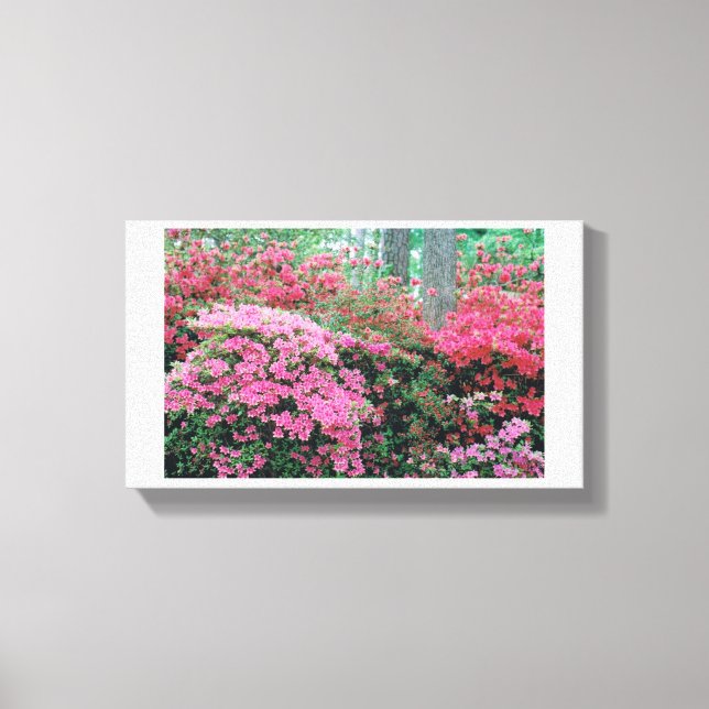 Toile Azalea Canvas (Recto)