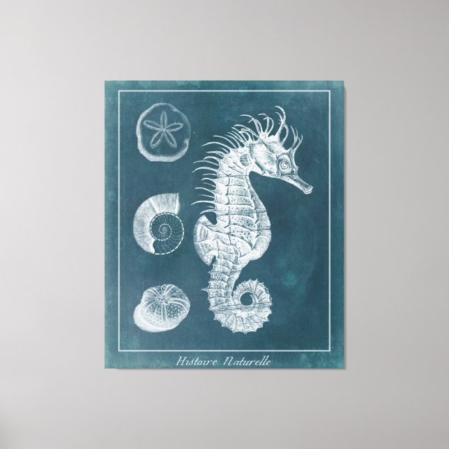 Toile Azure Seahorse Study I (Recto)