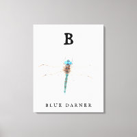 "B" Bleu Darner